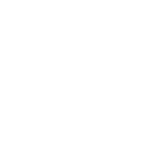 Youth for Next Step